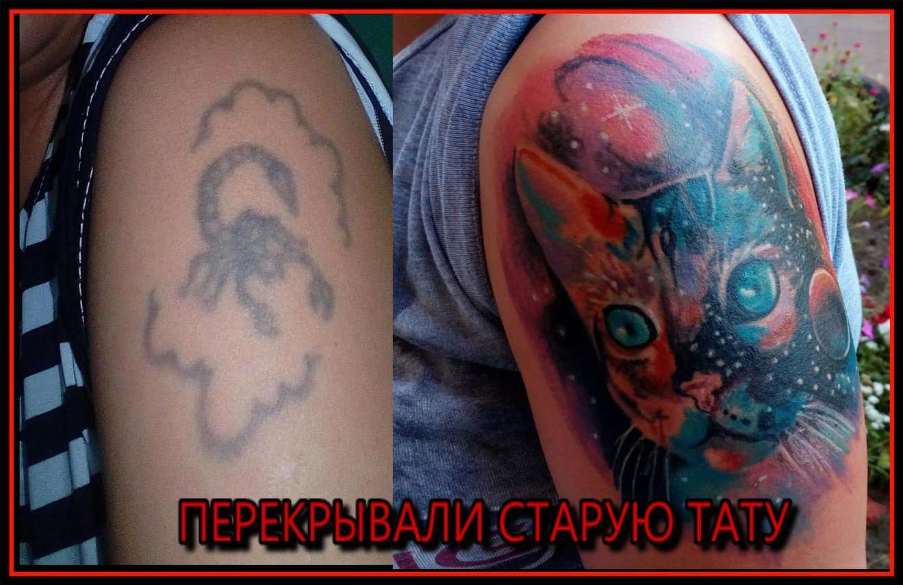 Тату Салон Омск Цены И Фото Отзывы